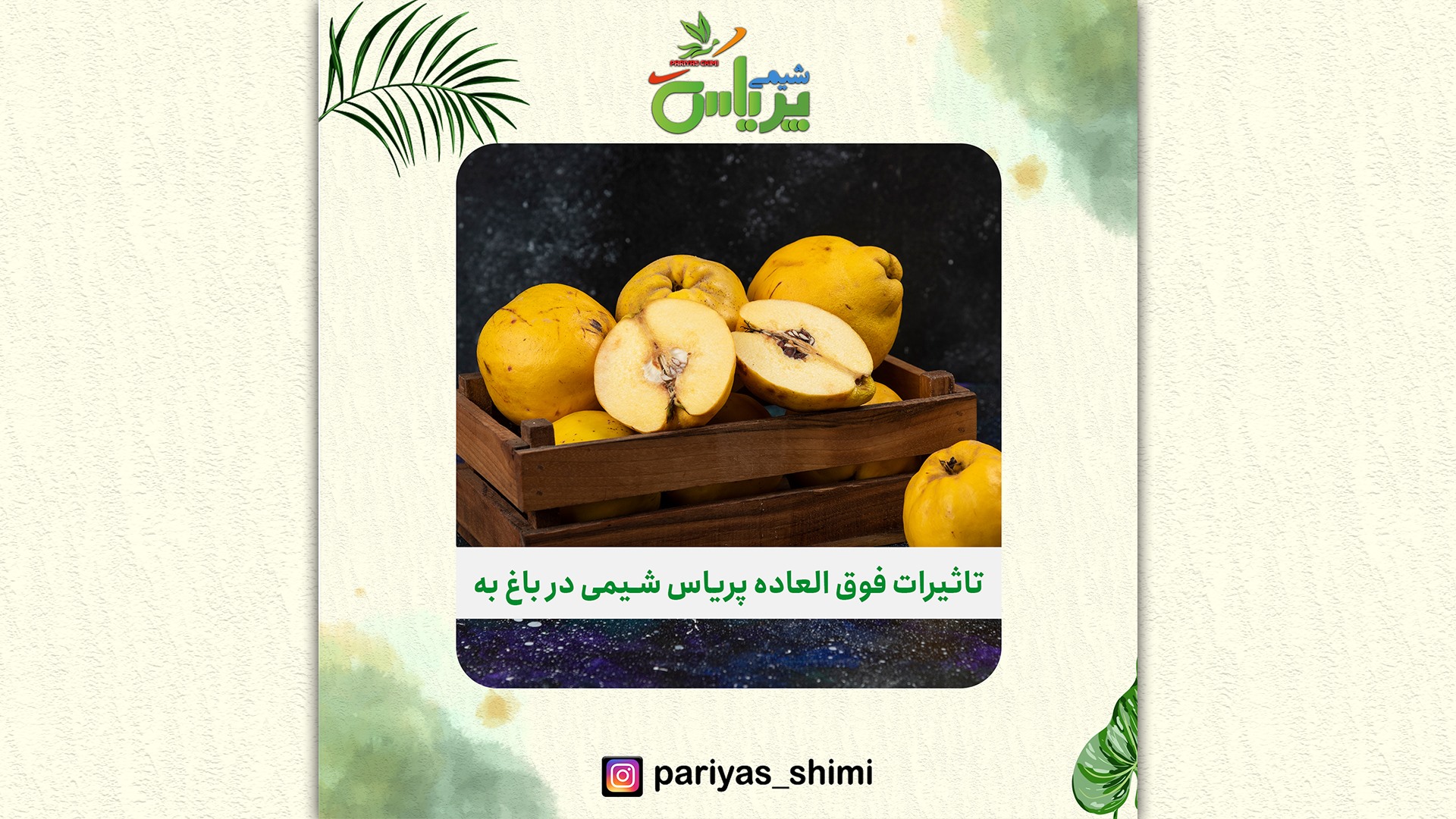 بررسی عملکرد پریاس شیمی - باغ به - سبزوار